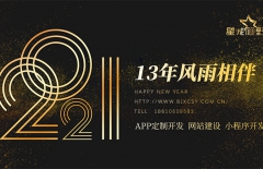 北京做網(wǎng)站、北京做網(wǎng)站公司、高端網(wǎng)站建設(shè)、星誠(chéng)視野、北京網(wǎng)絡(luò)公司