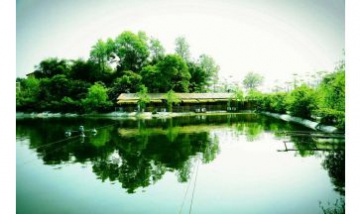 重慶美家農業(yè)開發(fā)有限責任公司全...