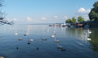 行業(yè)網(wǎng)站建設(shè)、北京網(wǎng)絡(luò)公司　旅游網(wǎng)站建設(shè)