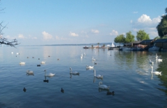 行業(yè)網(wǎng)站建設(shè)、北京網(wǎng)絡(luò)公司　旅游網(wǎng)站建設(shè)