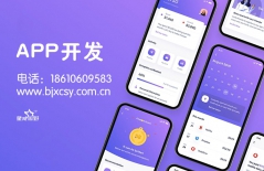 原生APP開發(fā)、app、app定制開發(fā)、網(wǎng)上商城APP
