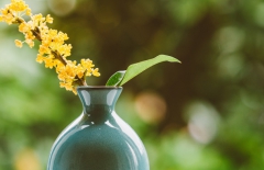 北京網站建設、北京網站建設公司、北京網絡公司