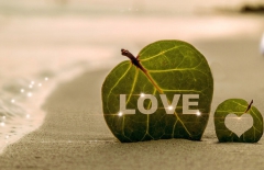 北京做網(wǎng)站公司、高端網(wǎng)站建設(shè)、高端品牌網(wǎng)站建設(shè)、北京網(wǎng)絡(luò)公司