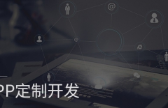 app開發(fā)、原生APP開發(fā)、app定制開發(fā)、APP開發(fā)公司 