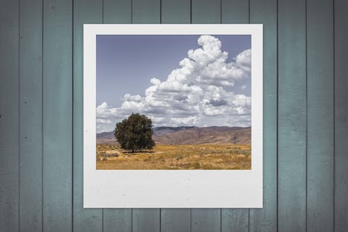 北京做網(wǎng)站、高端品牌網(wǎng)站建設(shè)、北京網(wǎng)頁設(shè)計(jì)公司、北京高端網(wǎng)站建設(shè)、教育類網(wǎng)站建設(shè)