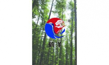 山東鶴洋木業(yè)有限公司全景圖