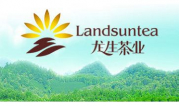 云南龍生茶業(yè)股份有限公司全景圖