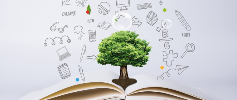 北京網(wǎng)站建設(shè)、北京星誠視野網(wǎng)絡(luò)科技有限公司、網(wǎng)站建設(shè)哪家公司好