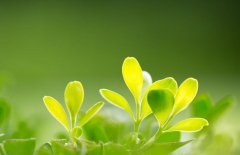 北京網(wǎng)站建設(shè)、北京網(wǎng)站建設(shè)公司、北京網(wǎng)站制作公司、北京網(wǎng)站制作、北京做網(wǎng)站