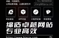 SEO關(guān)鍵詞優(yōu)化、網(wǎng)站排名、提升網(wǎng)站排名