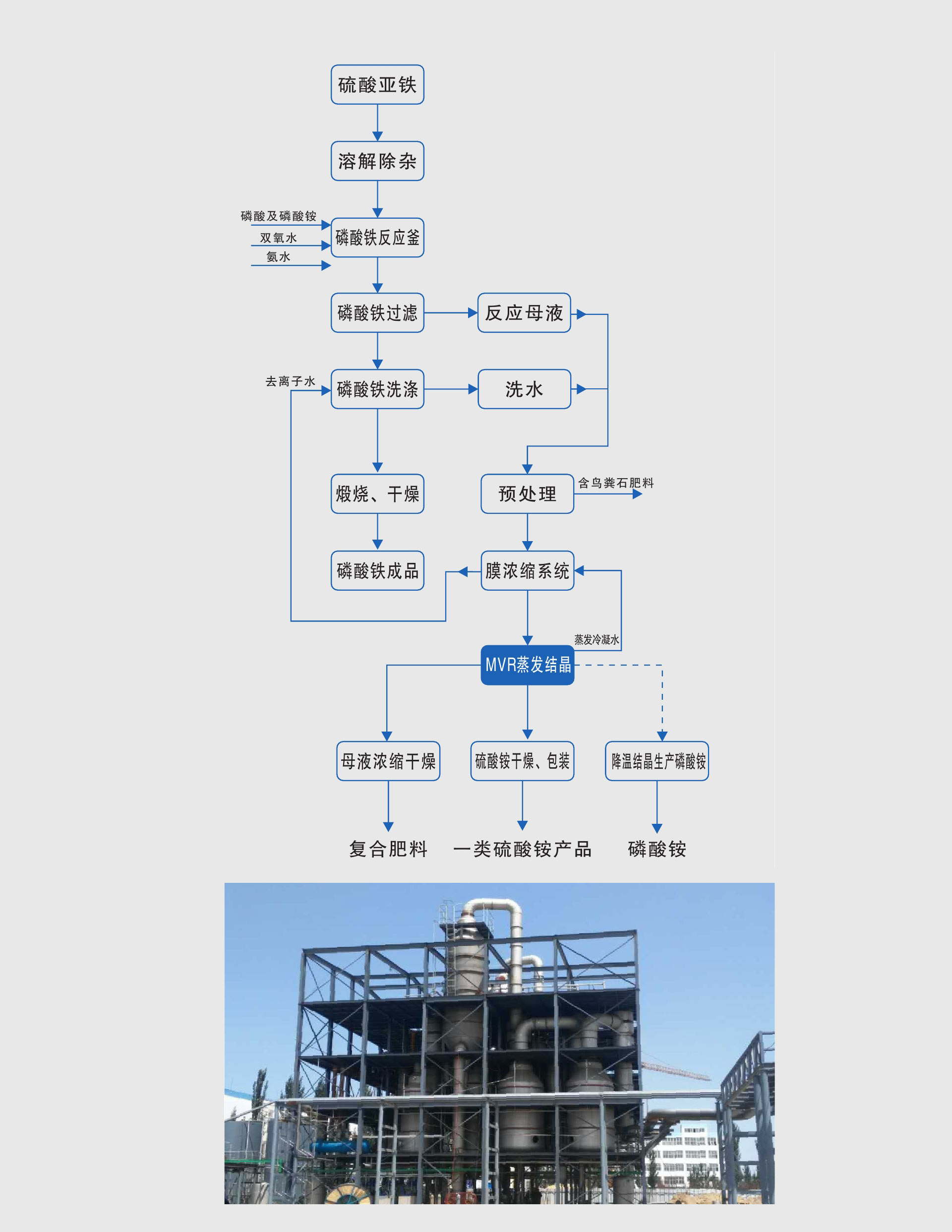 16904604107450.jpg 未標題-4.jpg